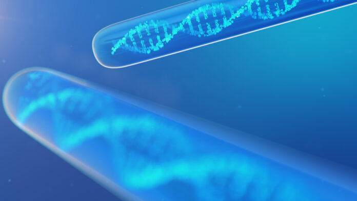 Ferramenta de edição genética SPLICER tem grande potencial para tratar distrofia muscular de Duchenne