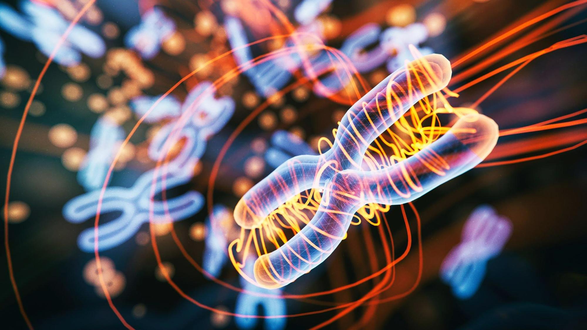 genetic dna rna proteins Researchers Discover 18-Digit Code (Wnt7a) that Allows Proteins to Hitch a Ride Around the Body
