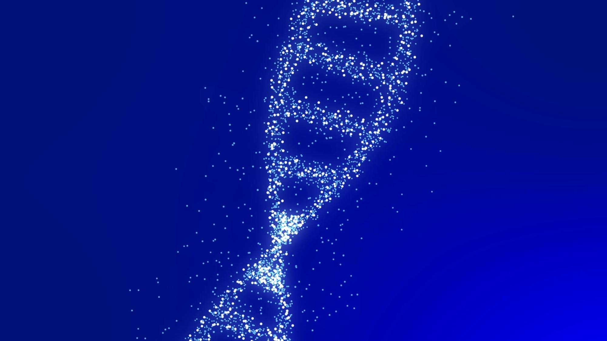 Science DNA A pioneering discovery has shown the complicated relationships between dystrophin, a muscle stability protein, and its companion protein, dystrobrevin, opening new avenues for studying and treating Duchenne Muscular Dystrophy.