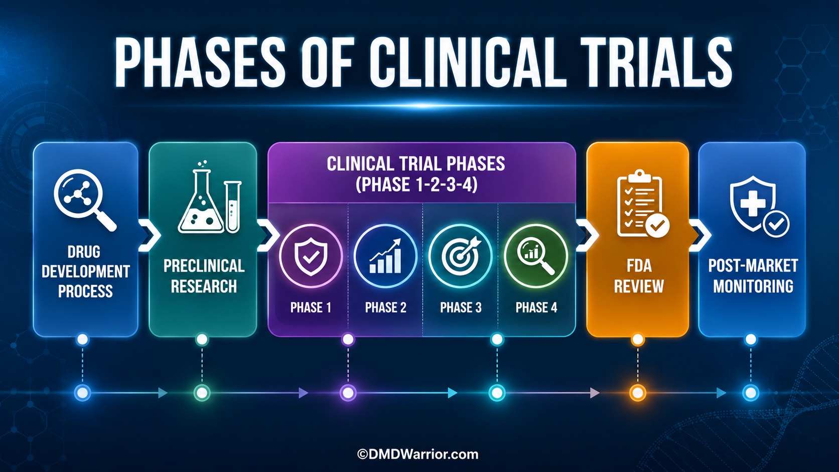 Fases de los ensayos clínicos: proceso de desarrollo de fármacos Fases de los ensayos clínicos: Proceso de desarrollo de fármacos, investigación preclínica, fases 1 a 4, revisión del estudio FDA y seguimiento posterior a la comercialización.