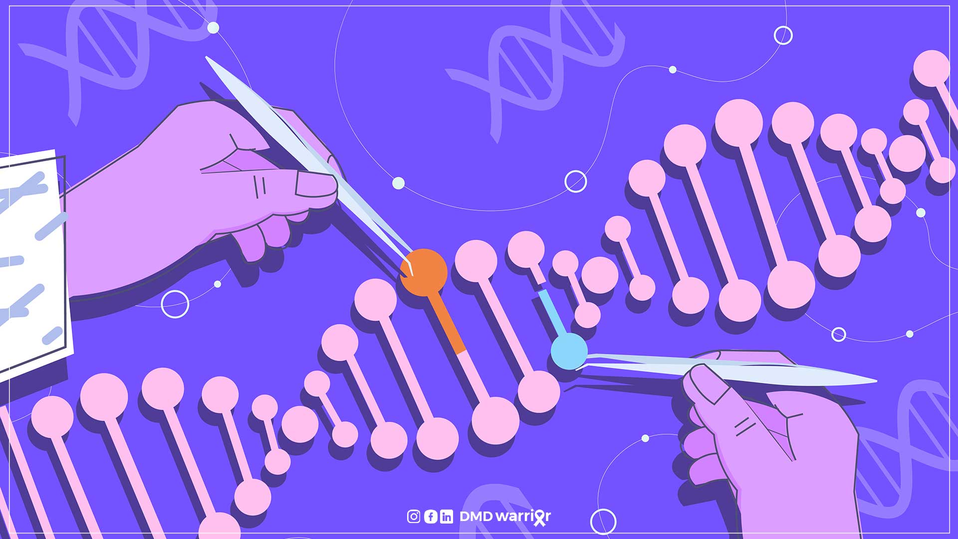 Mikrodystrophin und Volldystrophin spielen eine entscheidende Rolle bei der Behandlung der Duchenne-Muskeldystrophie (DMD), einer genetischen Erkrankung, die fortschreitende Muskelschwäche verursacht. Während Volldystrophin das Protein ist, das bei Patienten mit DMD fehlt, stellt die Mikrodystrophin-Therapie eine vielversprechende Alternative dar und bietet potenzielle Vorteile für Betroffene.