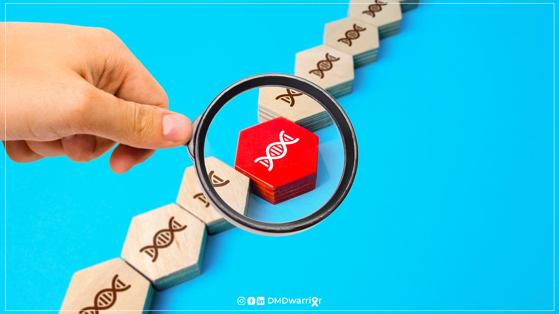 ड्यूशेन मस्कुलर डिस्ट्रॉफी में आनुवंशिक जोखिम मूल्यांकन ड्यूशेन मस्कुलर डिस्ट्रॉफी में आनुवंशिक परामर्श: वाहक परीक्षण, जोखिम मूल्यांकन और प्रसवपूर्व निदान