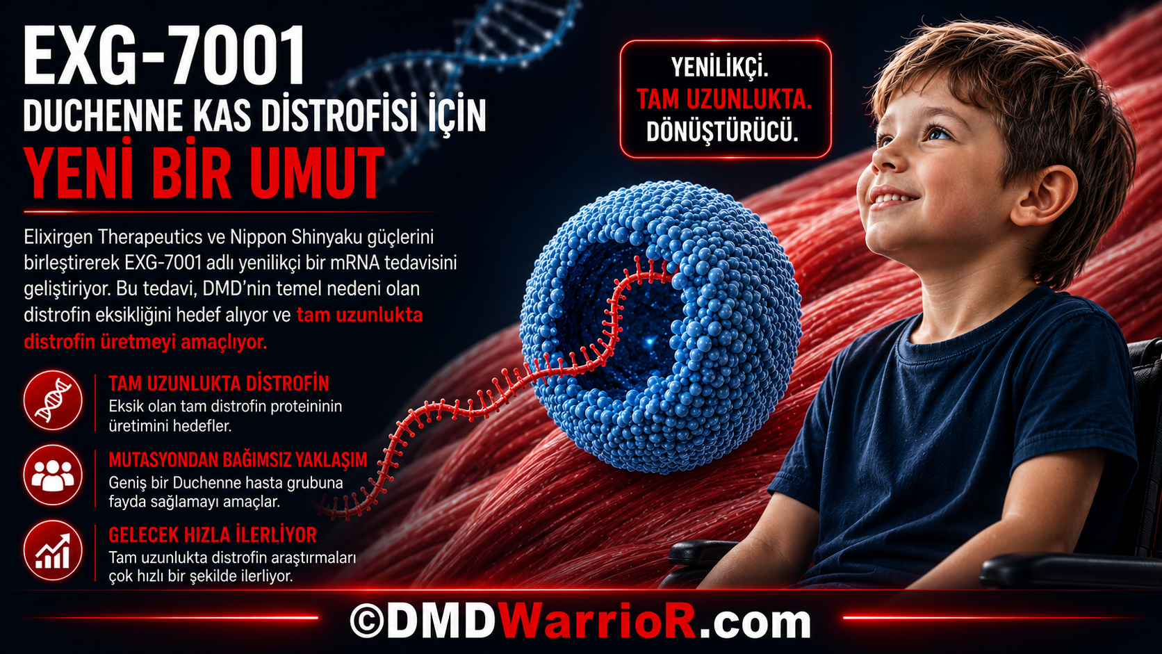 Elixirgen Therapeutics ve Nippon Shinyaku tarafından geliştirilen, Duchenne kas distrofisi için tam uzunlukta distrofin mRNA terapisi olan EXG-7001.