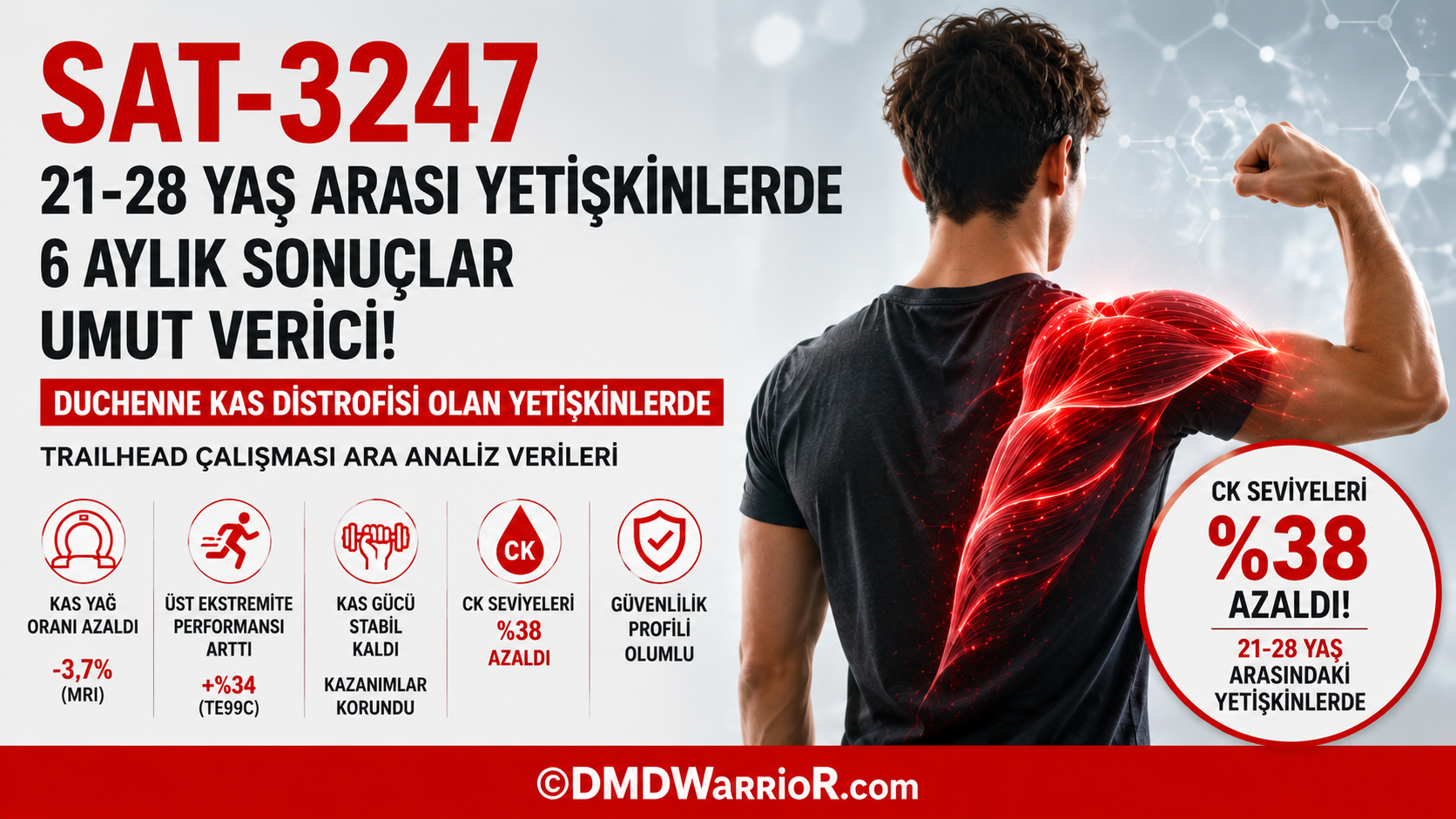 SAT-3247 bilgi grafiği, Duchenne kas distrofisi olan 21-28 yaş arası yetişkinlerde altı aylık TRAILHEAD çalışmasının sonuçlarını özetleyerek, daha düşük CK seviyelerini, iyileşmiş kas yapısını ve olumlu güvenlik bulgularını vurgulamaktadır.
