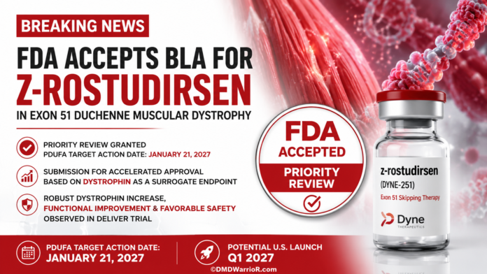 Z-Rostudirsen (Dyne Therapeutics) recibe revisión prioritaria (FDA) para la distrofia muscular de Duchenne. FDA acepta la solicitud de licencia de productos biológicos Dyne Therapeutics para z-rostudirsen y otorga revisión prioritaria para la distrofia muscular de Duchenne susceptible de omisión del exón 51.