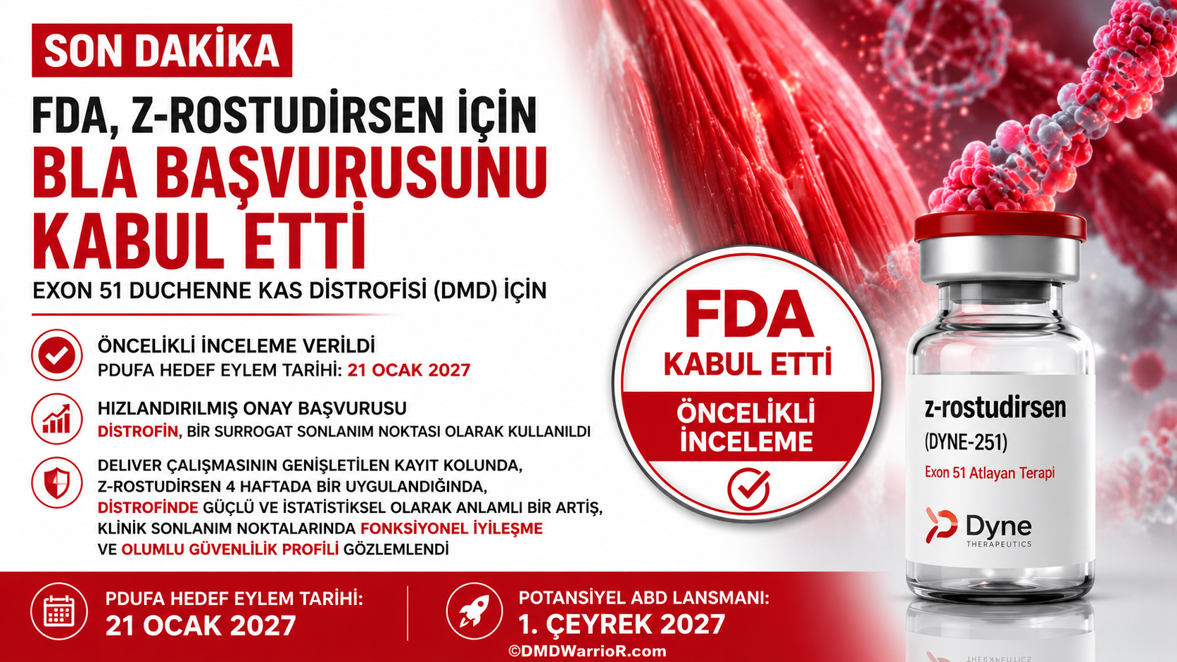 Dyne Therapeutics Z-Rostudirsen Duchenne Kas Distrofisi İçin FDA Öncelikli İncelemeye Alındı FDA, z-rostudirsen için Dyne Therapeutics'nin Biyolojik Ürün Lisans Başvurusunu kabul eder ve ekson 51 atlamasına uygun Duchenne kas distrofisi için Öncelikli İnceleme statüsü verir.