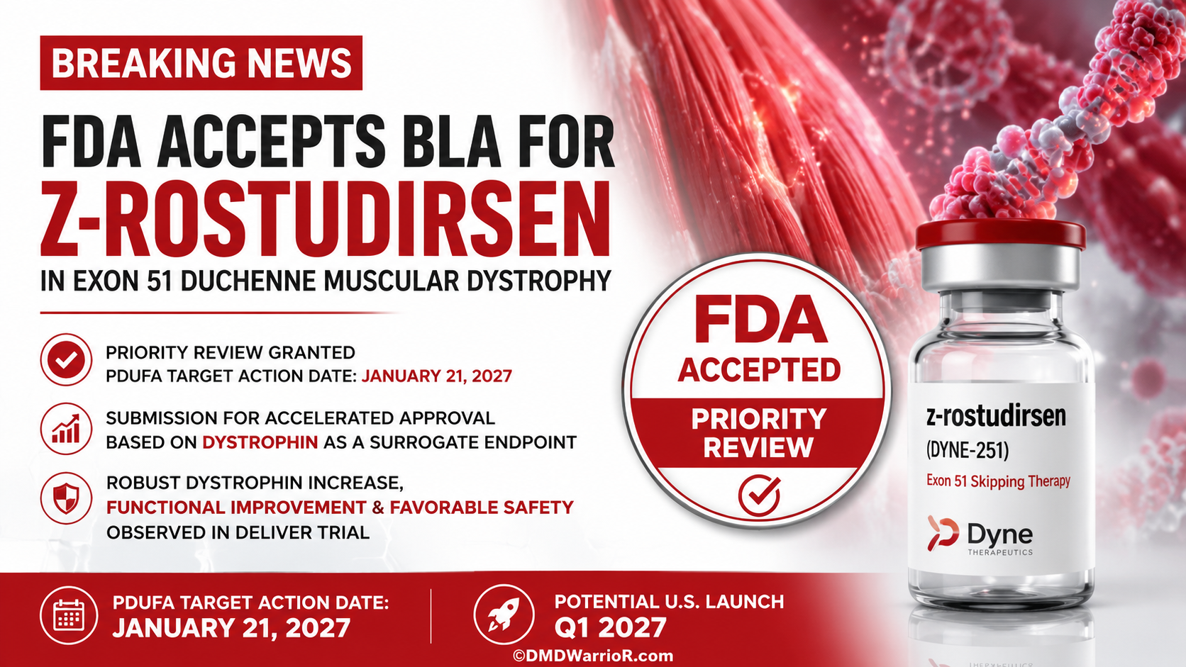 Dyne Therapeutics Z-Rostudirsen erhält FDA Prioritätsprüfung für Duchenne-Muskeldystrophie FDA akzeptiert den Antrag Dyne Therapeutics auf Zulassung eines Biologikums für z-Rosturidarsen und gewährt Prioritätsprüfung für Duchenne-Muskeldystrophie, die für Exon-51-Skipping geeignet ist.