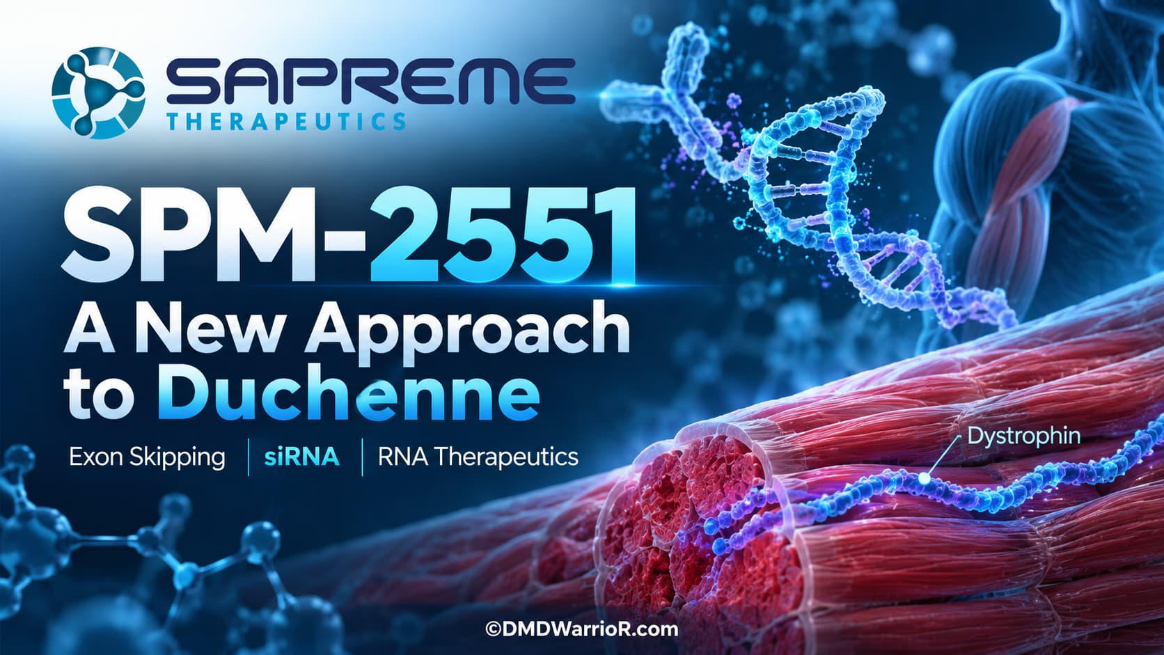 Sapreme Therapeutics SPM-2551 for Duchenne Recommended: Sapreme Therapeutics SPM-2551 experimental approach for Duchenne muscular dystrophy and dystrophin restoration