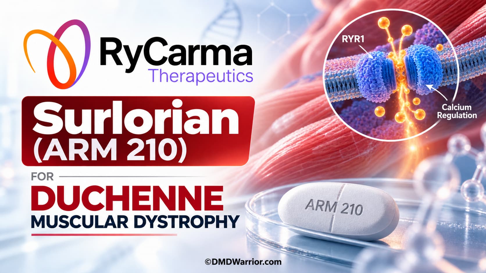 RyCarma Surlorian (ARM 210) for Duchenne Muscular Dystrophy RyCarma Therapeutics Surlorian (ARM 210) for Duchenne Muscular Dystrophy
